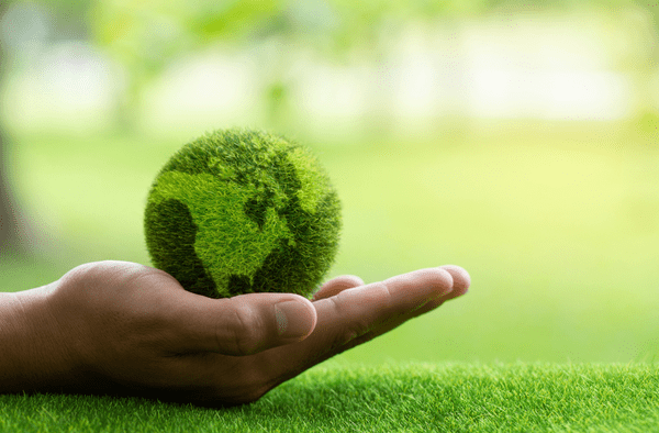 Valuing Green Businesses in WA: Accounting for Sustainability and Environmental Impact