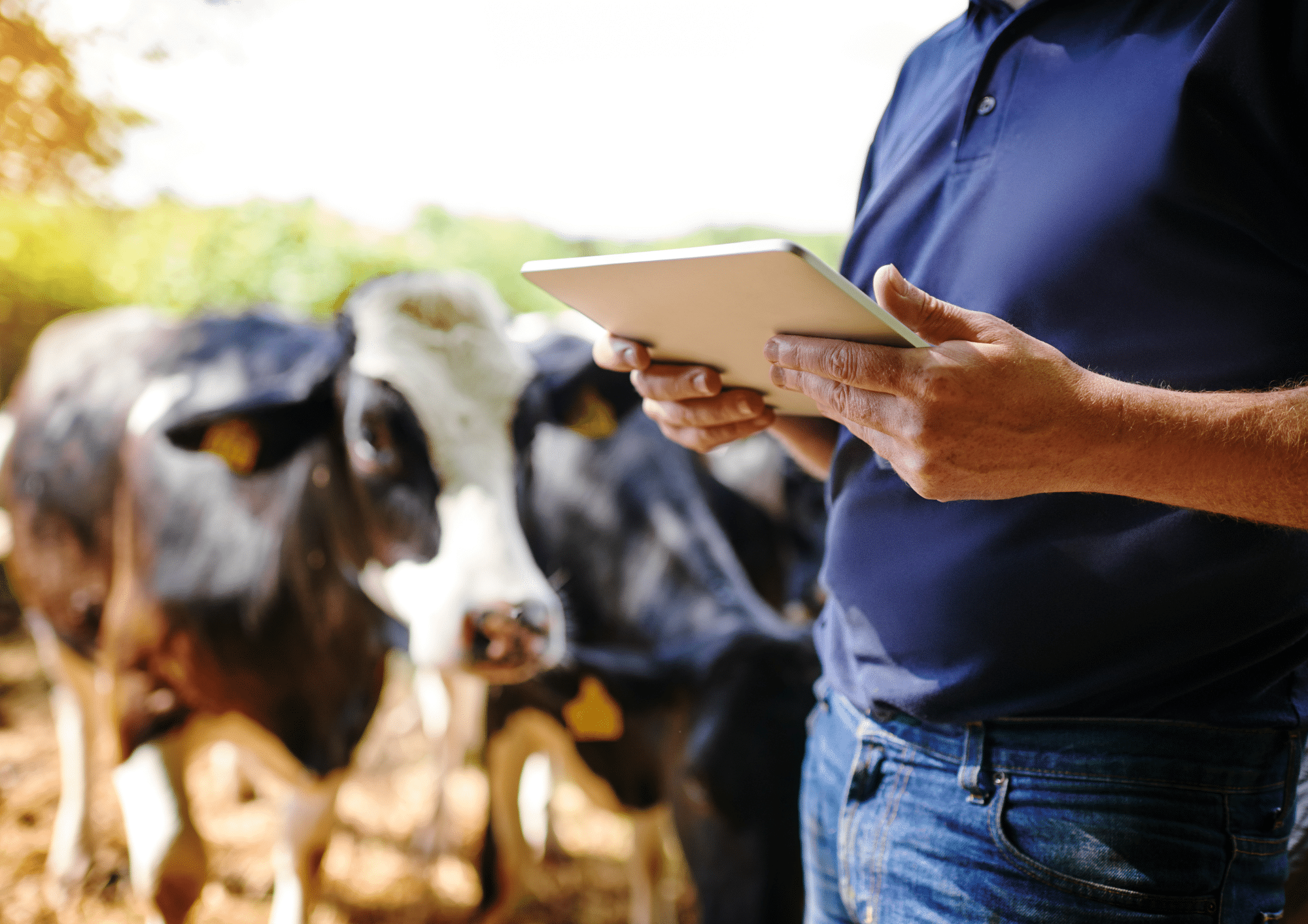 Hidden Gems_ Valuing Agribusinesses in the Perth Region