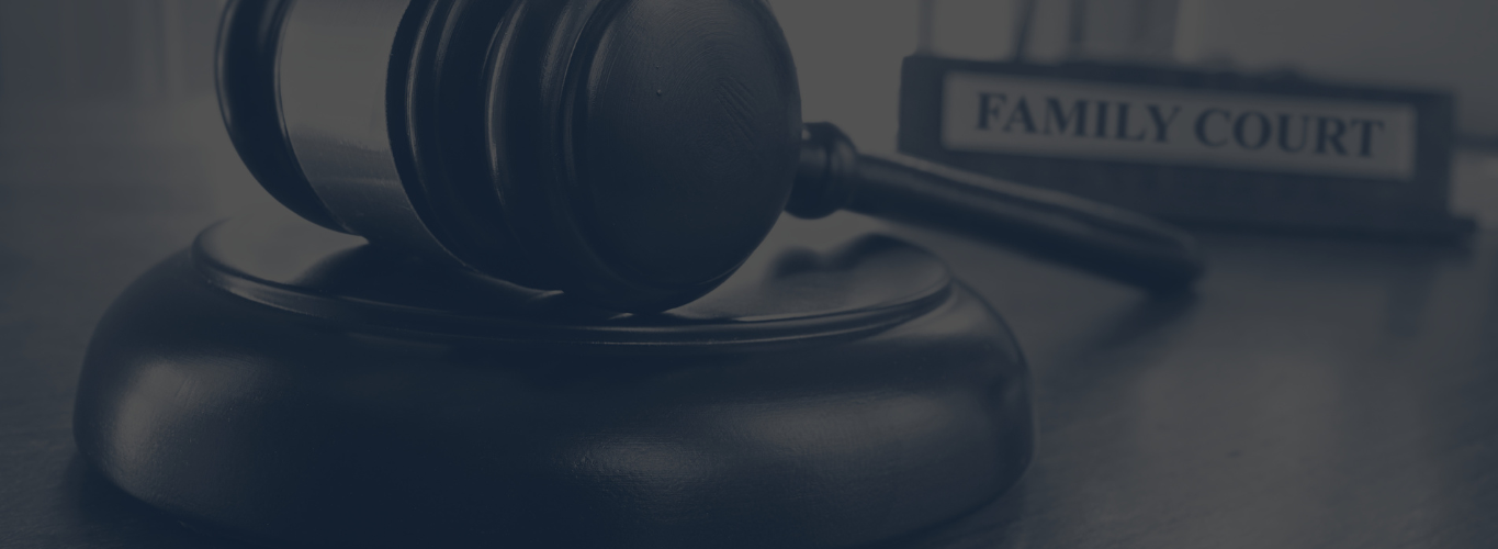 Family Court and Single Expert Witness - Family Court and Single Expert Witness